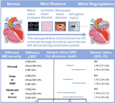 Revisiting the relationship between left ventricular ejection fraction 